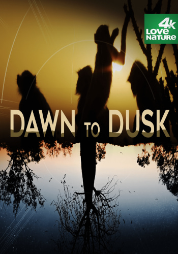 От Рассвета До Заката / Dawn To Dusk (2020) WEBRip [H.264/1080p.