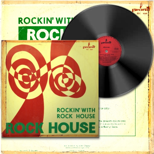 does the rock have a house in virginia - Ilustrasi 3